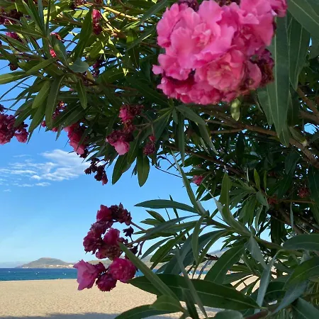 Le Petit Paradis De Valentin * Argeles-sur-Mer