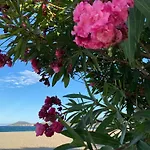 Le Petit Paradis De Valentin * Argelès-sur-Mer