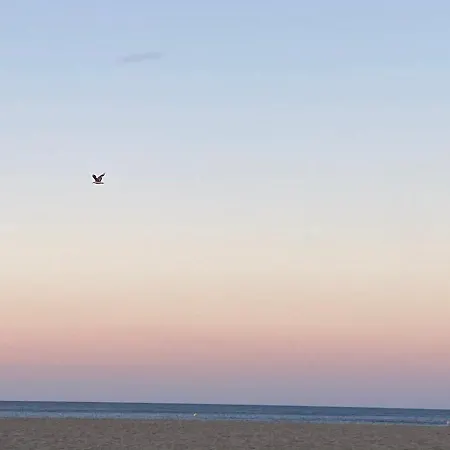 Le Petit Paradis De Valentin